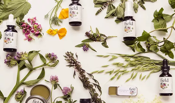 hudson_valley_apothecary_field_apothecary_herb_farm_july2017.jpg