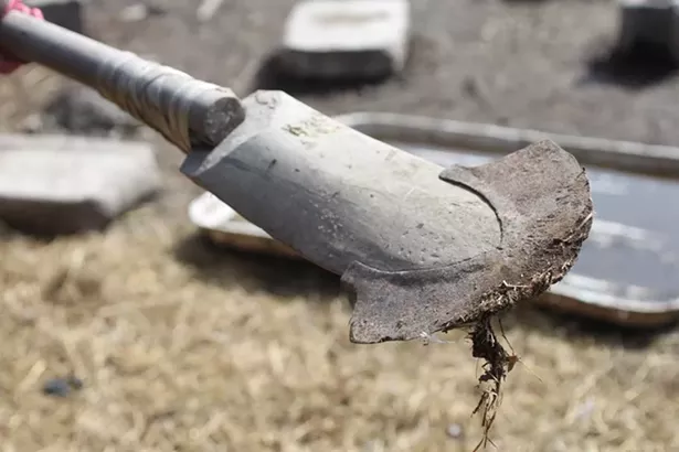 Badjie brought traditional kajandu (shovels) back from West Africa in a suitcase. - COURTESY OF EVER-GROWING FARM