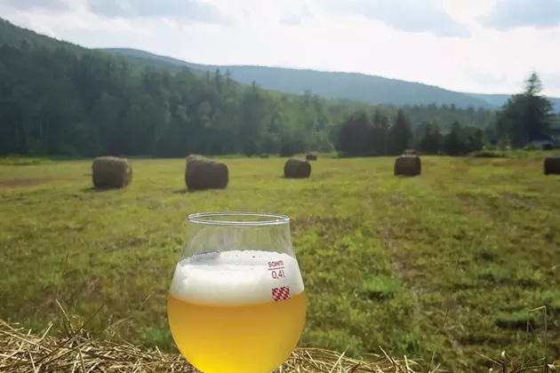 Beeroir: How the Farm Bill Helped to Launch a Terroir