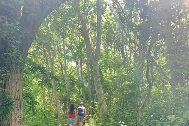 Locked & Loaded Against Lyme