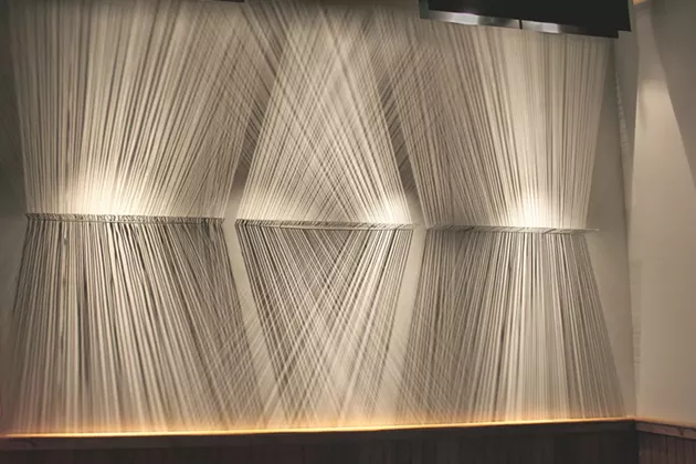 Sydney Cash: Six Decades of Scientific Art