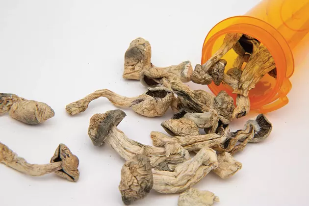 The Healing Mushroom: Will New York Legalize Psychedelics?