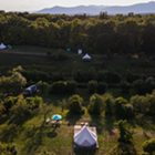 Germantown: Summer Bucket List