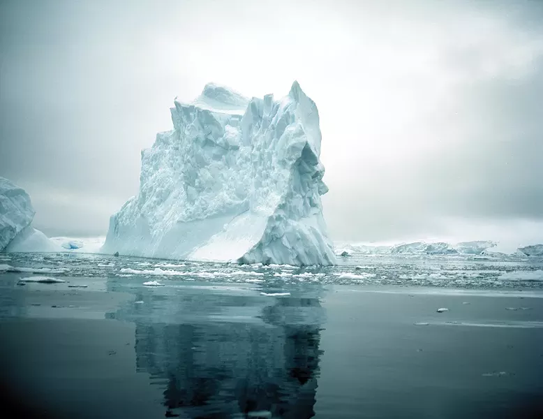 “We are a global community and our behaviors at home have long-term effects in Antarctica. Our actions, which increase carbon dioxides and impact the environment, are influencing the animals, their habitat and the potential for growth in the Antarctic ecosystem.” - –Ari Friedlaender - PHOTO BY MADELINE COTTINGHAM
