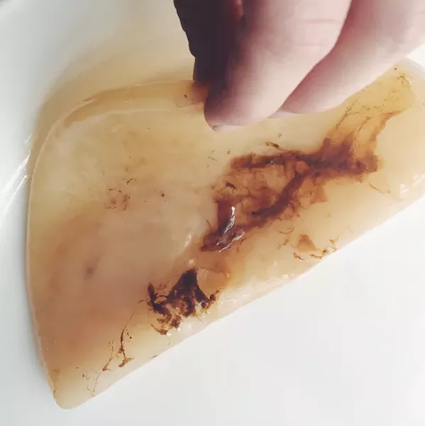 A healthy kombucha SCOBY is still pretty gross. Get over it. - BEA RUE STUDIOS