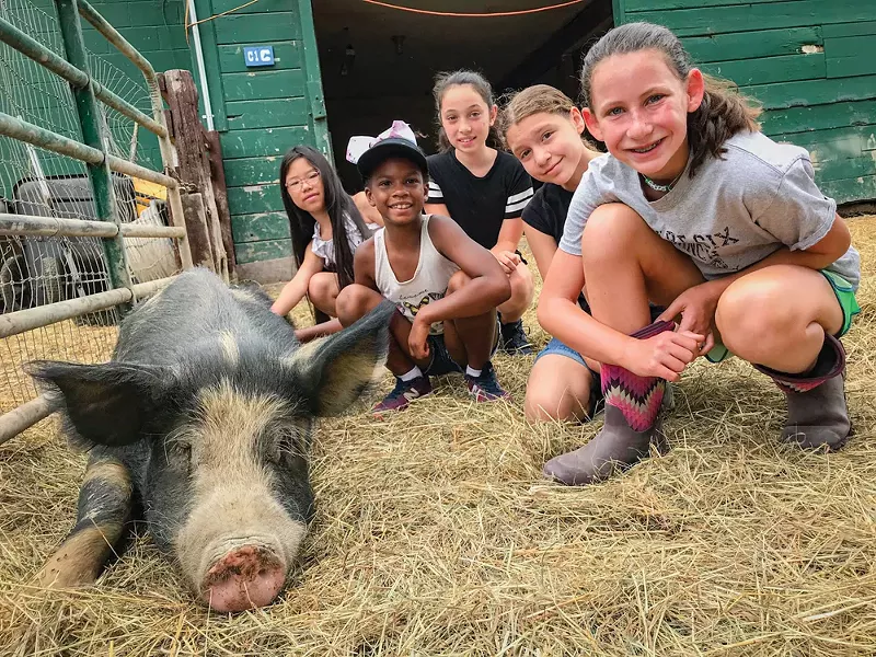 Catskill Animal Sanctuary