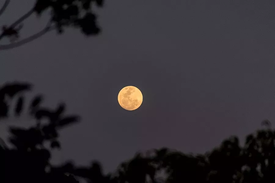 october_astrology_harvest_moon-4486104_1280.jpg