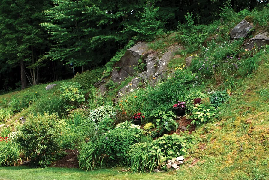 A rock garden in The Hills. - LARRY DECKER