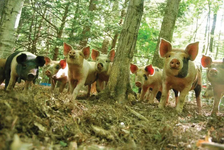 Behold! New Lebanon has many Saturday programs about animals.