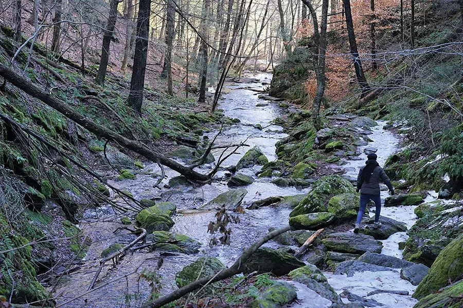 Stone Church Hiking Trail in Dover - JOHN GARAY