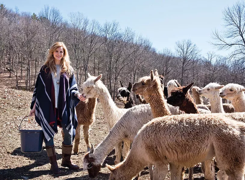 Alicia Adams, in an alpaca wool shawl, feeding her alpaca herd. Her "guilt-free fur" products are made from the animals' sheared winter coats - DEBORAH DEGRAFFENREID