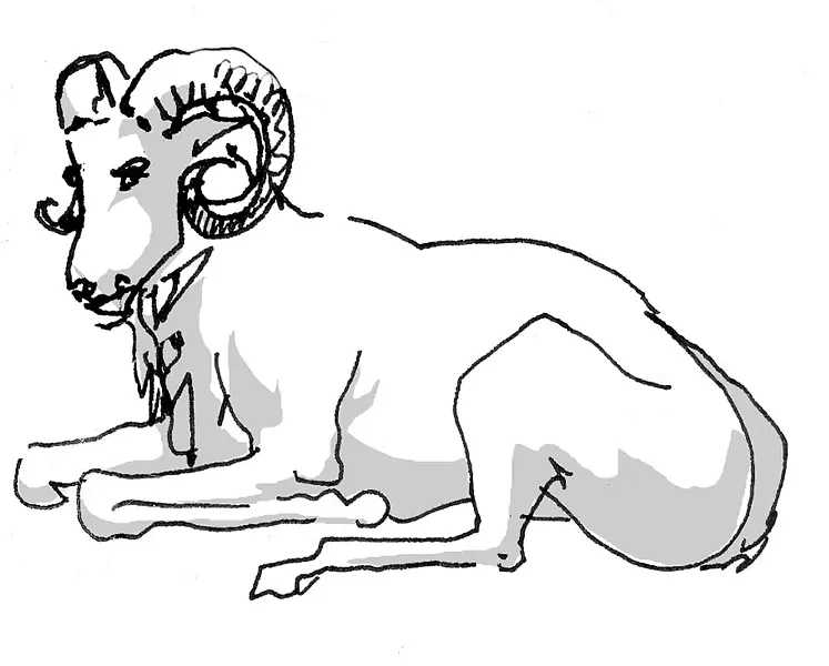 aries.jpg