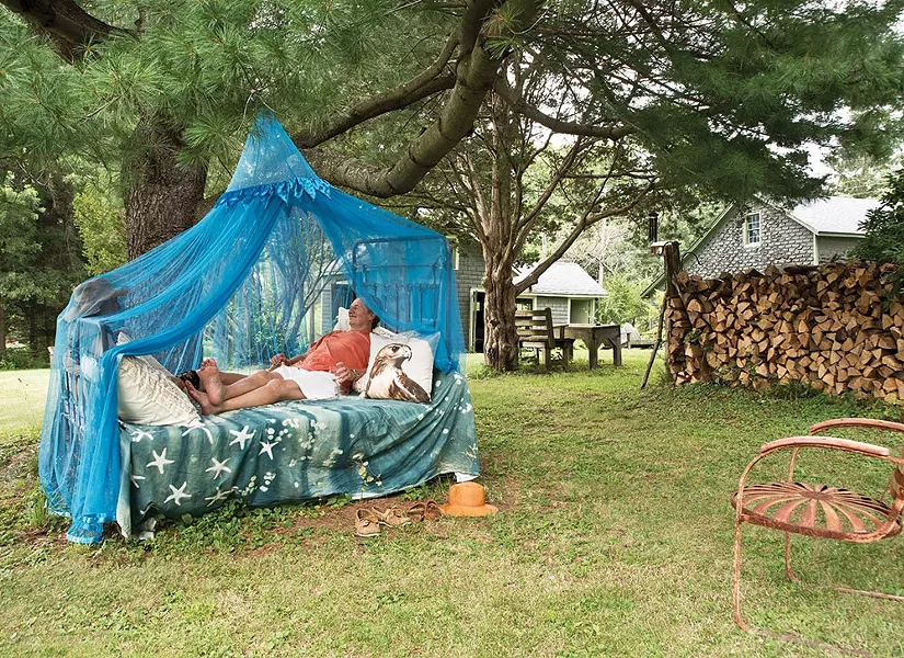 Kingsley, a real estate agent in Hudson, relaxing next to a pillow printed with one of Shaff’s hawk portraits. Many of Shaff’s bird portraits were taken at Green Chimneys Farm and Wildlife Center in Brewster. - DEBORAH DEGRAFFENREID