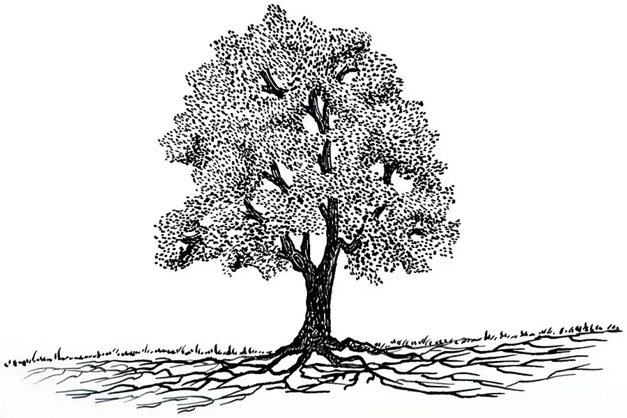 ILLUSTRATION BY LARRY DECKER