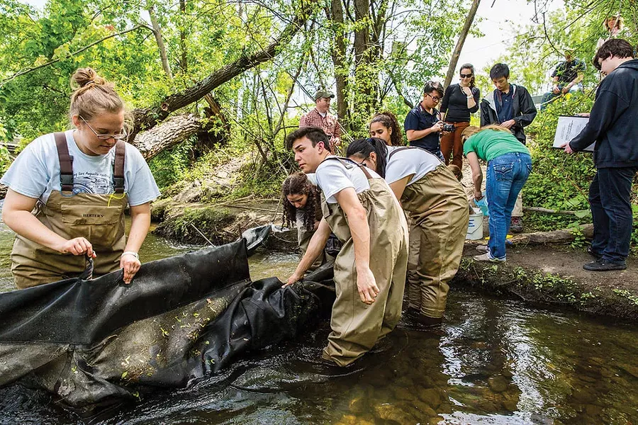 Storm King School students work with NYDEC in the Quassaick Creek to help preserve the eel population.