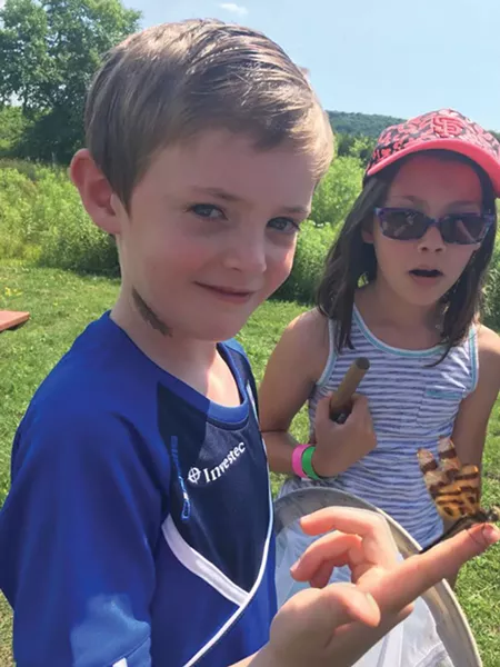 Catching dragonflies at the Hudson Highlands Nature Museum.