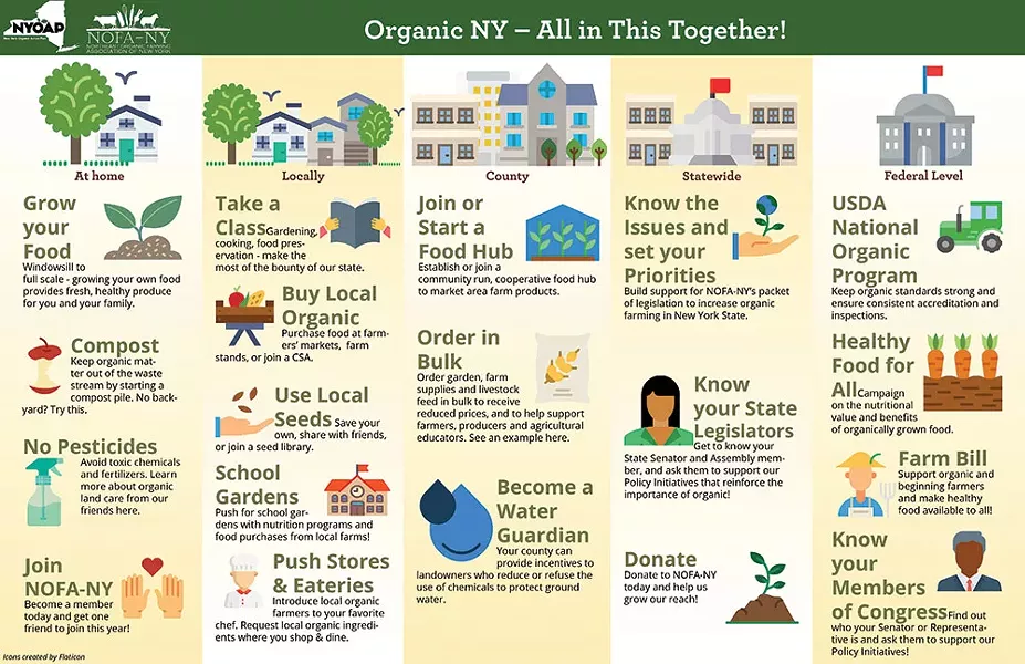 nofa-ny_what-can-i-do_infographic.jpg