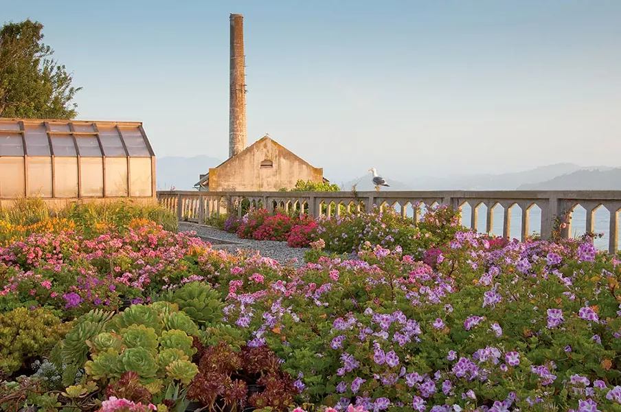The Gardens of Alcatraz, San Francisco, California. - ELIZABETH BYERS