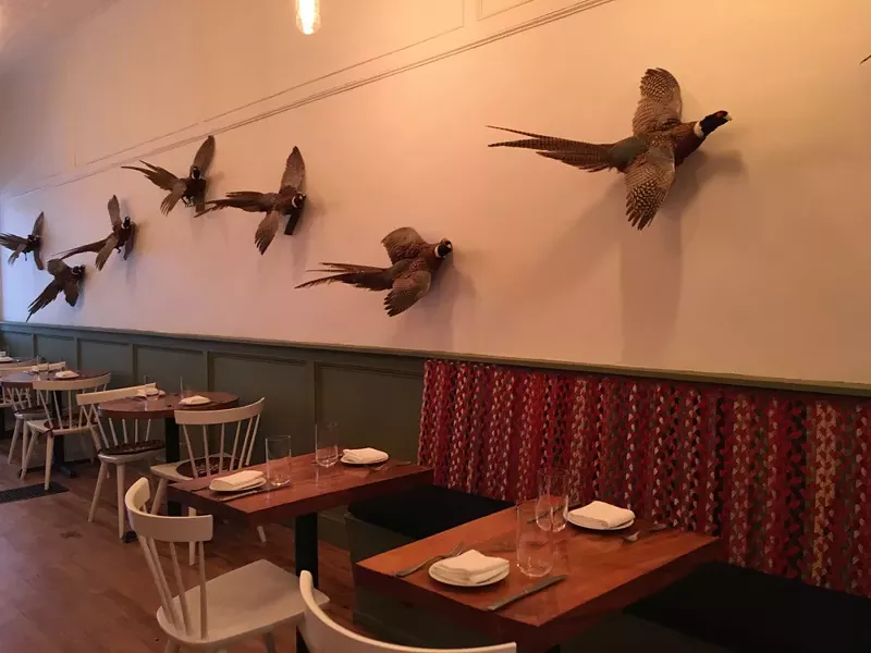 Taxidermied ringtail pheasant adorn the wall at Wilde Beest - MARIE DOYON