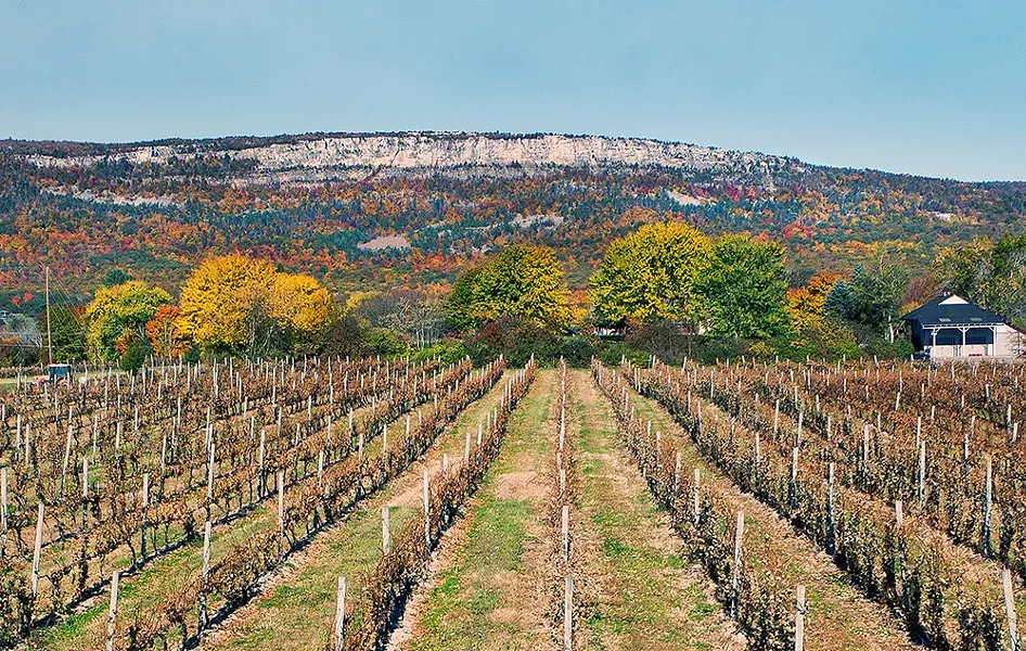 Whitecliff Winery in Gardiner is part of the recently launched Hudson Valley Cabernet Franc Coalition.