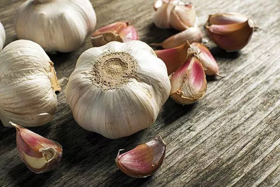 sl_garlic.jpg