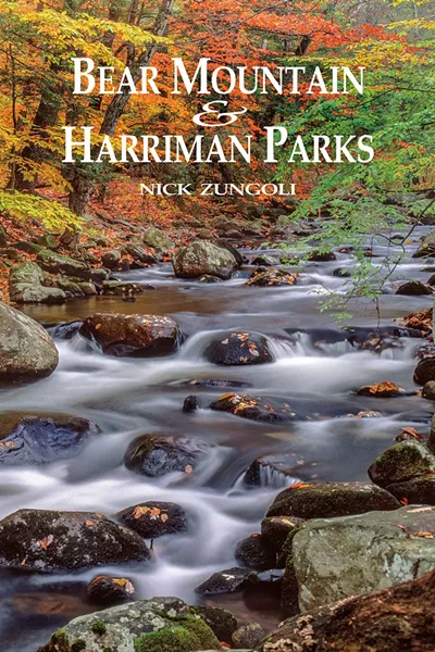 book-cover.jpg