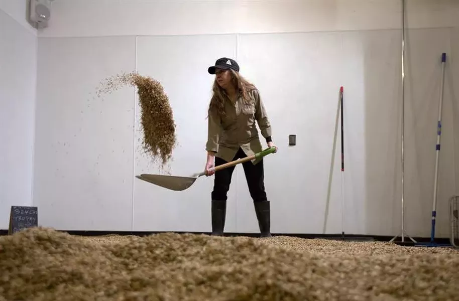 hudson_valley_malt_local_beer1.jpg