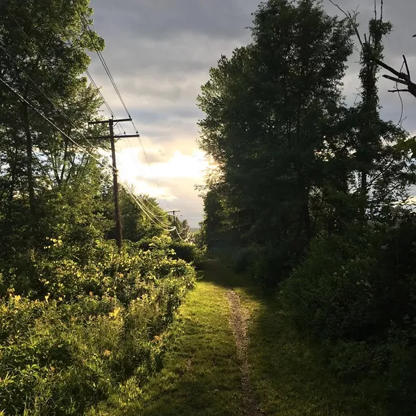 kingston_greenline8.jpg