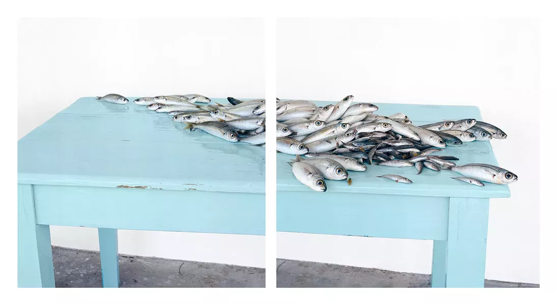 David Halliday, Fish on Blue, c.2013, archival pigment print