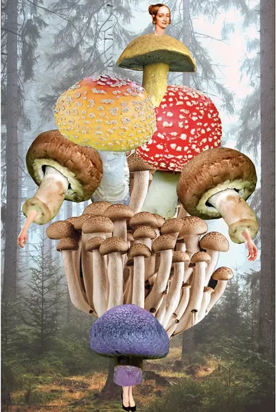 Johannah Goodman from The Catalogue of Imaginary Beings, Plate No.59, video installation