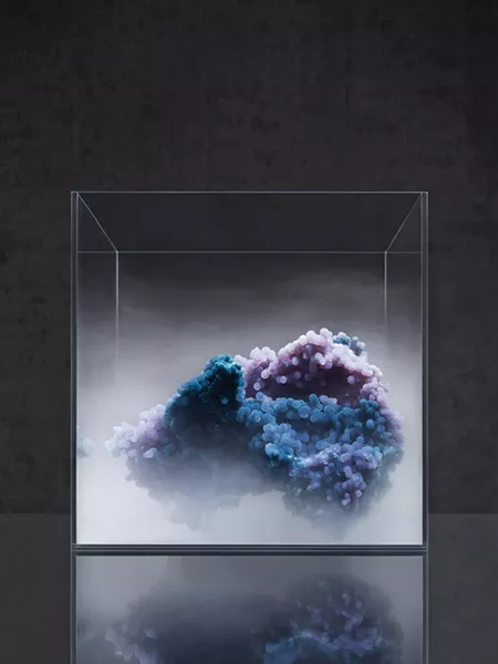 Evan D’Arpino, Poxviridae, 2018.