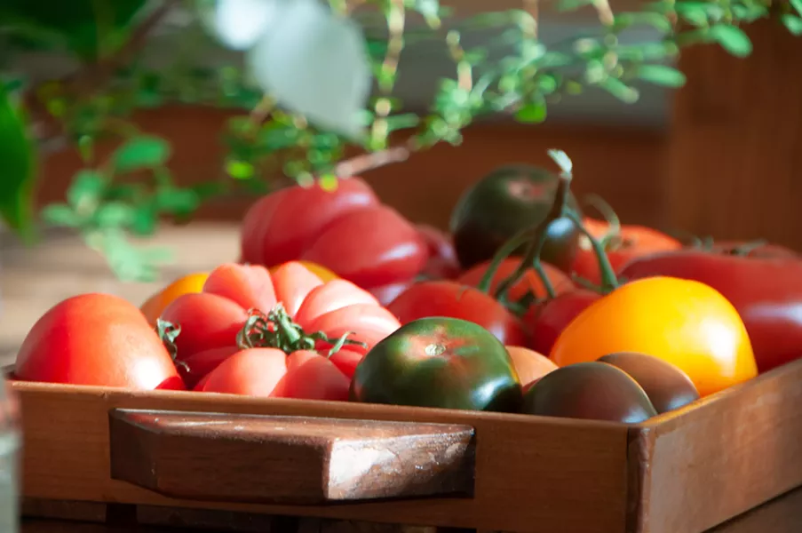 tomato-185_1_.jpg