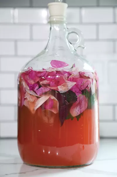 Rose petals, shiso, mugwort, and anise hyssop ferment with an airlock. - PHOTO: PETER BARRETT