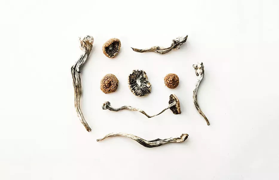 health_magic-mushrooms.jpg