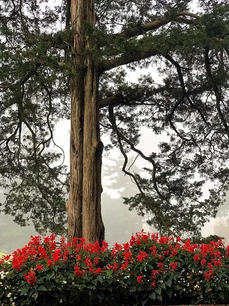 The grounds at The School of Philosophy's Wallkill location
