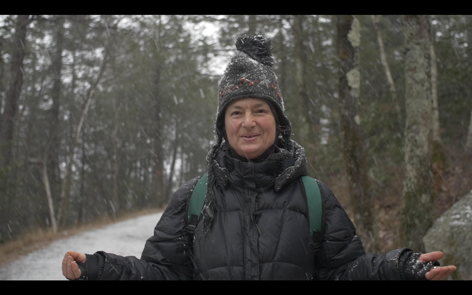 A still from Hudson Valley herbalist Dina Falconi's new video mini series Holiday Kitchen Forage.