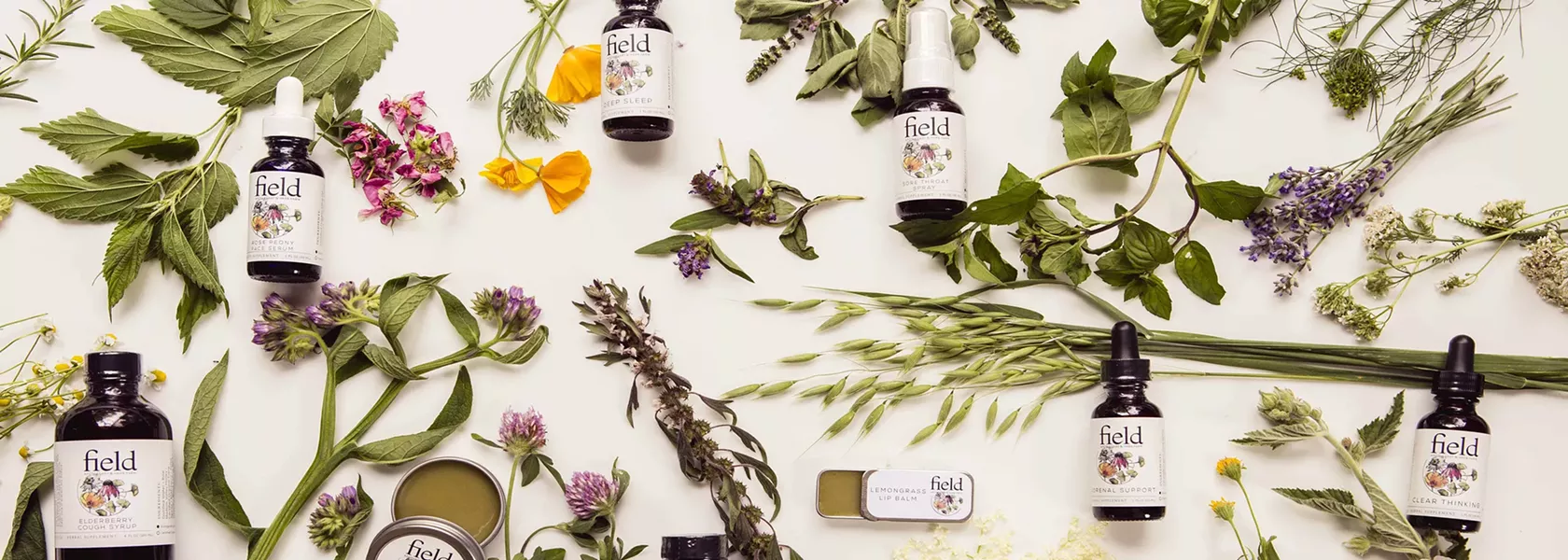 hudson_valley_apothecary_field_apothecary_herb_farm_july2017.jpg