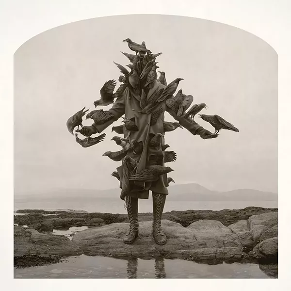King of Birds, Kahn & Selesnick, 2012-2013.