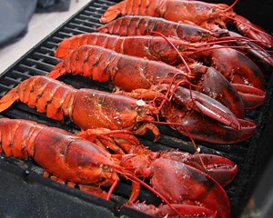 Don Thy Bibs, Lobster Fest Returns to Old Klaverack Brewery 8/11