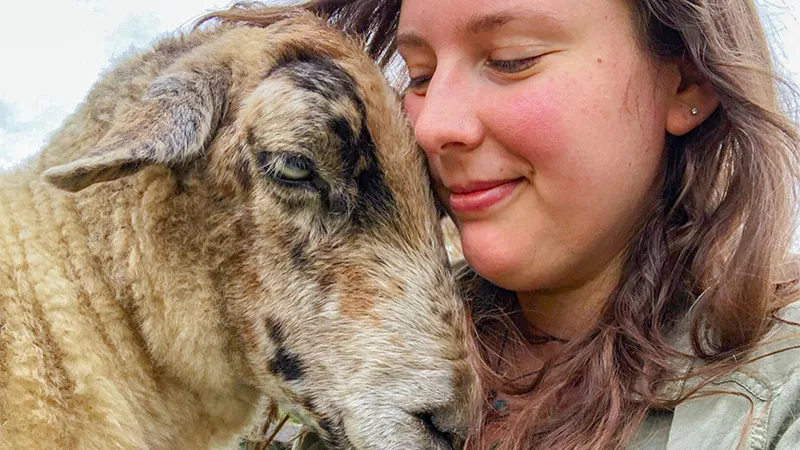 catskill_animal_sanctuary_800x450.jpg