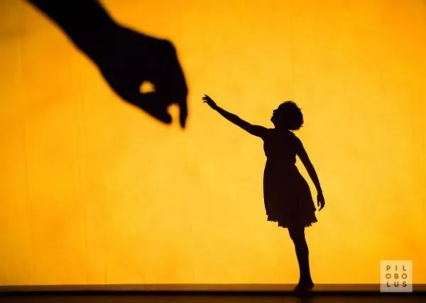 pilobolus-shadow-600x428.jpeg
