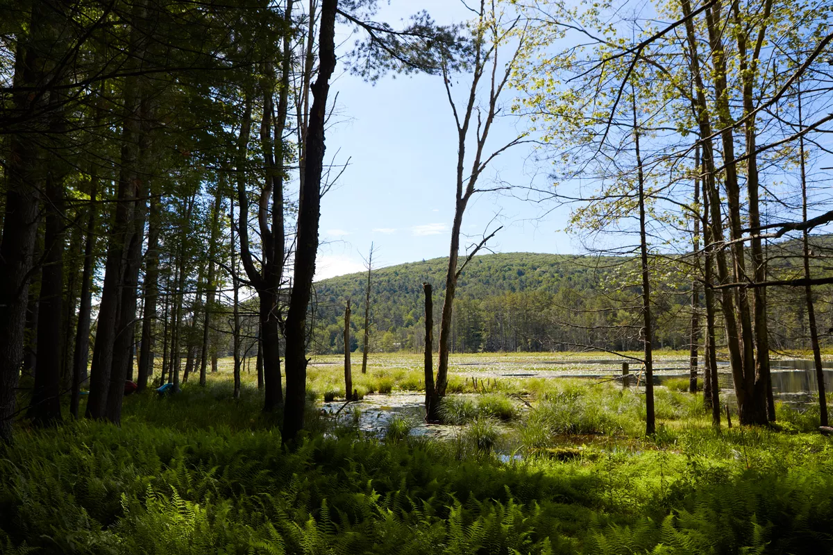 Woodstock Balancing Act Woodstock Hudson Valley Chronogram Magazine