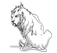 leo.jpg