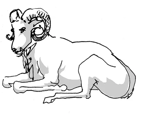 aries1.jpg