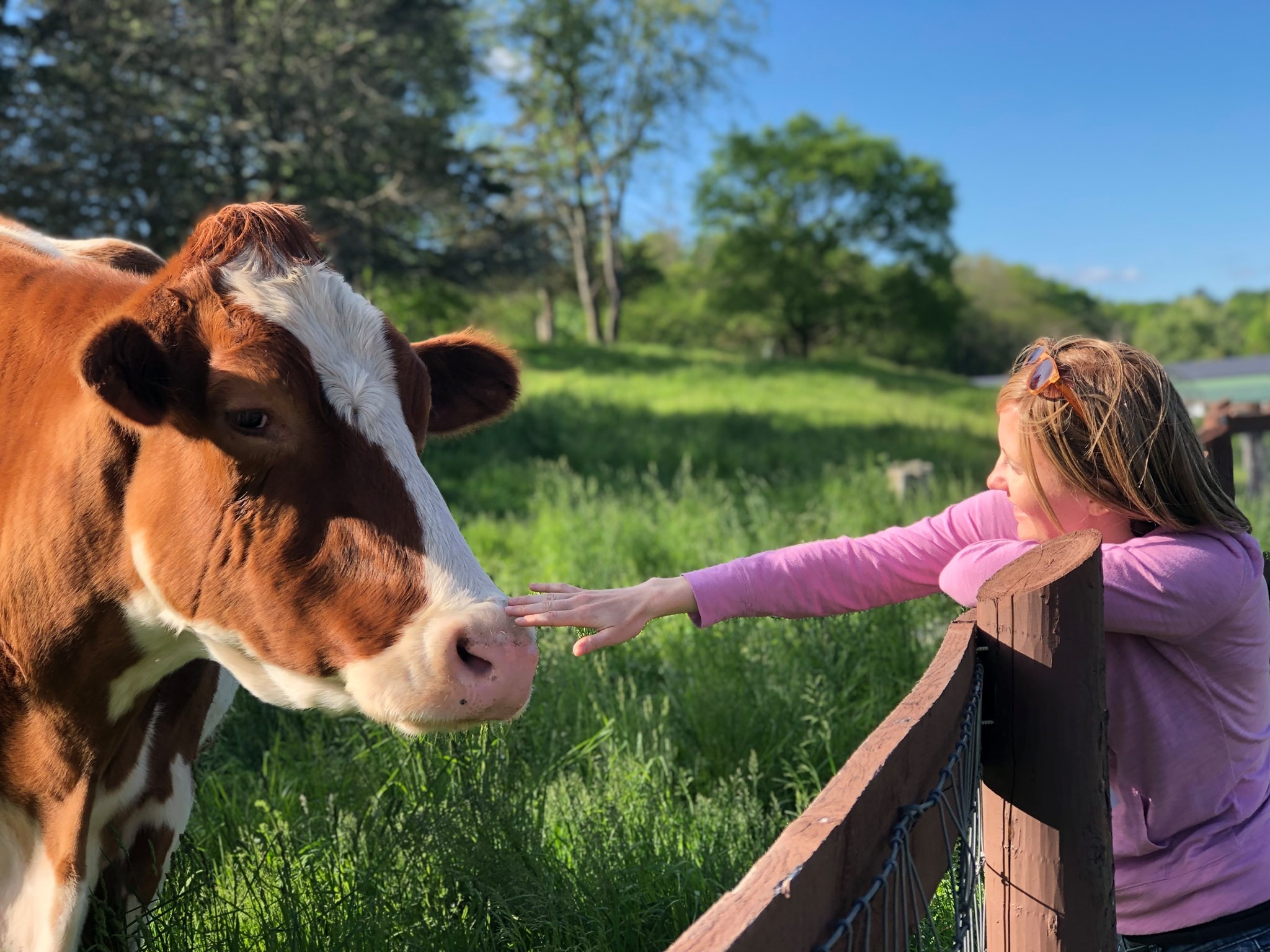 Kid-Friendly Places to Pet Animals in the Hudson Valley | Outdoors | Hudson  Valley | Chronogram Magazine