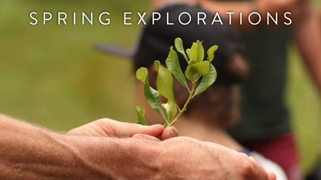 Spring Explorations - Nature's Medicinal Benefits