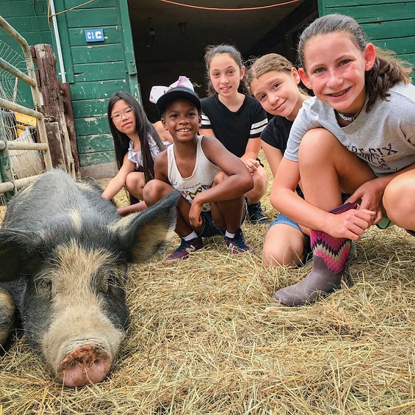 Kids' Attraction Spotlight: Catskill Animal Sanctuary