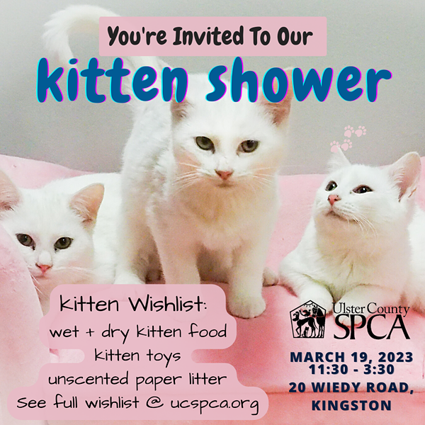UCSPCA Spring Kitten Shower