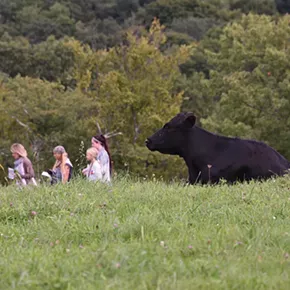 Hello Again, Dolly! Festival in Garrison Landing this Summer