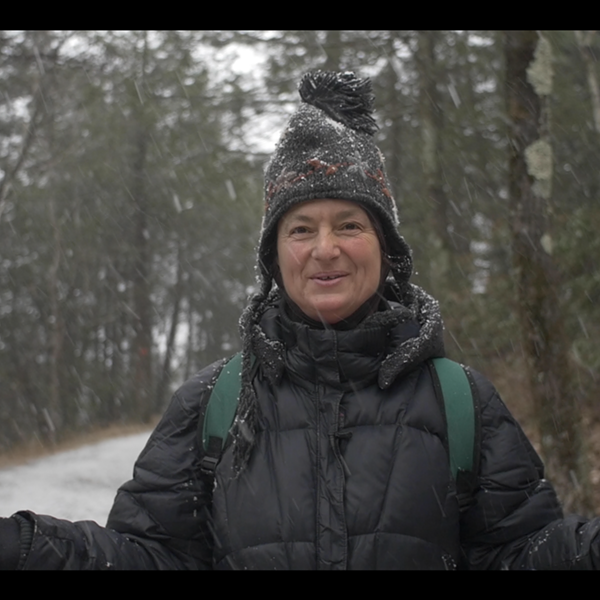 Wild For The Holidays: A New Foraging Mini-Series from Master Herbalist Dina Falconi